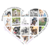 Modern Pet Photographer of Huggable, Loveable, and Kissable Dogs and Cats and their Humans in the Ann Arbor and Detroit, Michigan Area - 