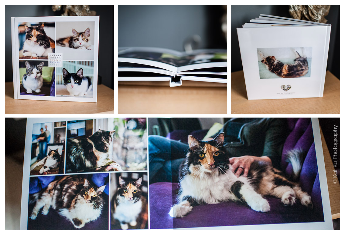 portrait backdrop/portrait backdrops Photos/ Portrait Photography Backdrops